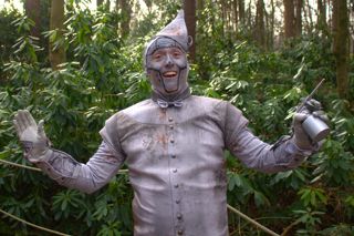 Tin Man Wizard Of Oz
