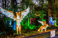 illuminated forest creatures within the woodland