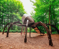 Spiders lair big spider play equipment
