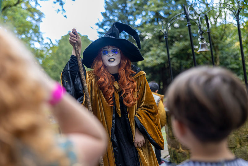 ginger witch