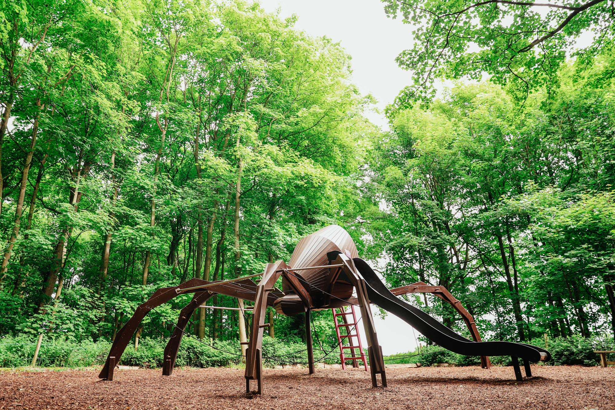 giant brown spider play structure with slide in a forest