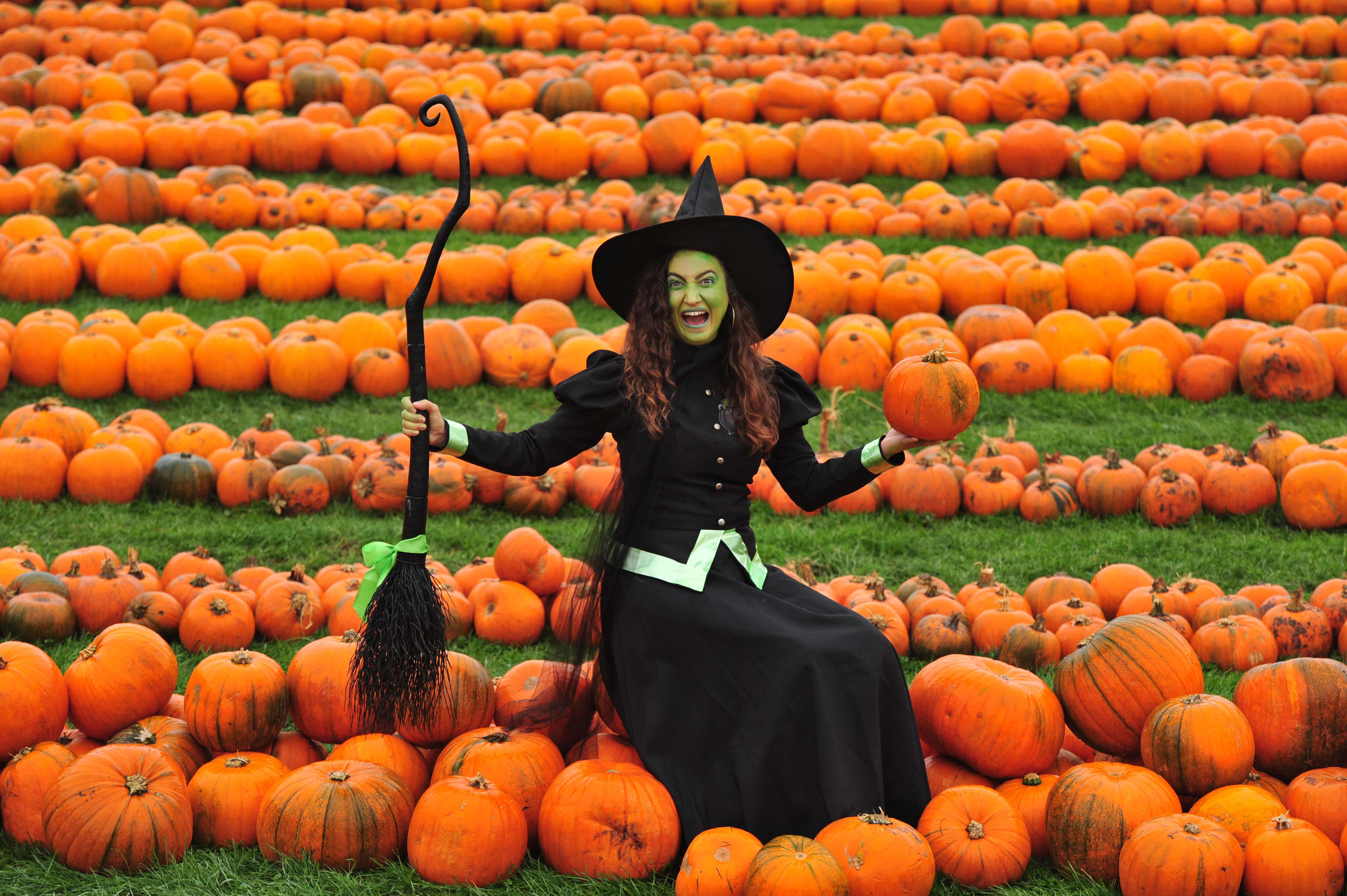 Pumpkins 2 Witch 2019