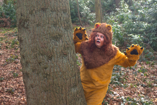 Wizard Of Oz Adventure Trail (2)