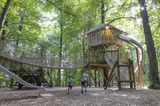 two boys running through an outdoor playground with a treehouse in a forest