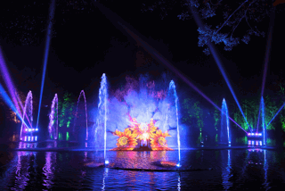 Flower scene in the lake show