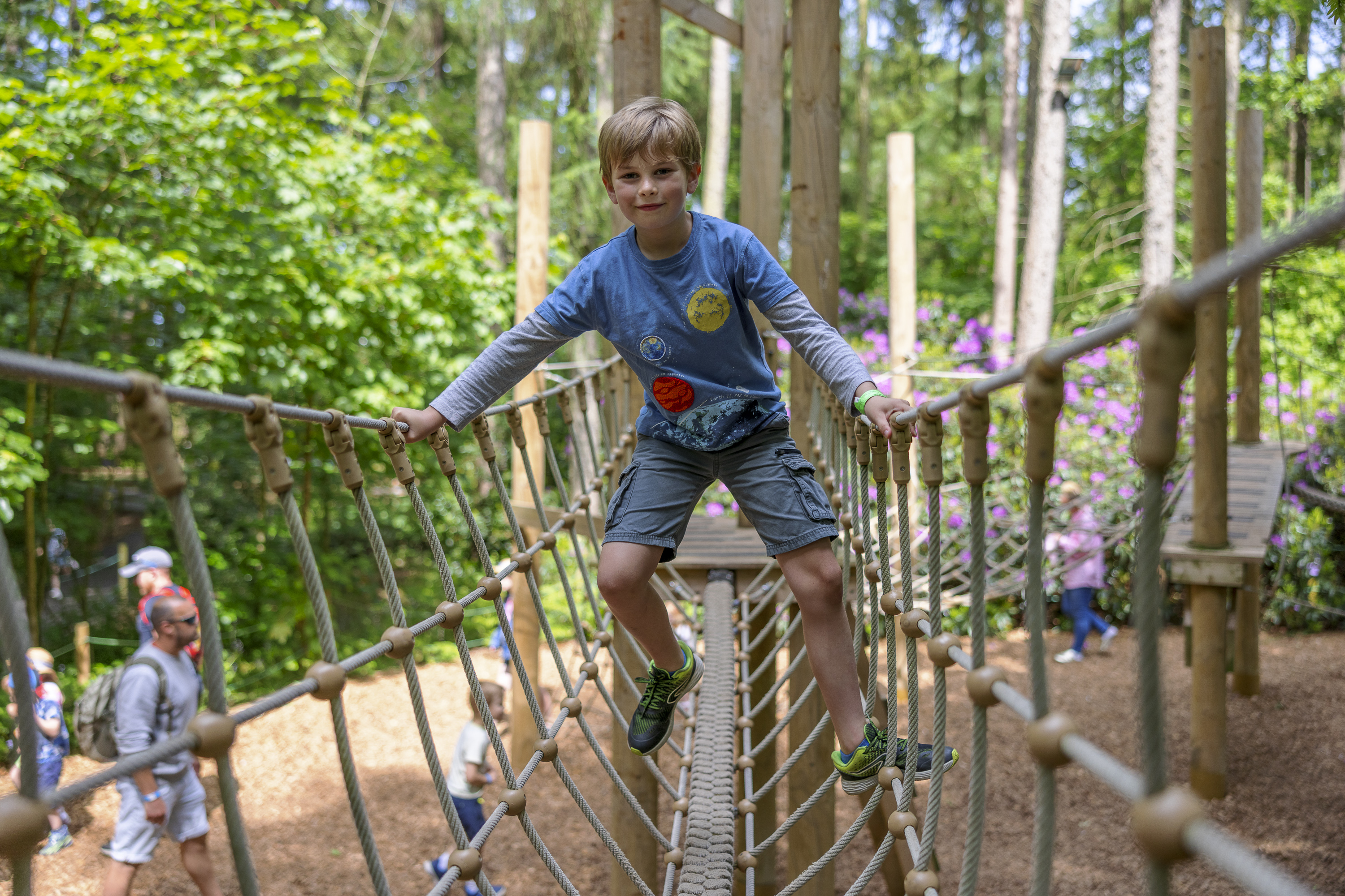 boy with blue tshirt and shorts walking on rope bridge in a forest