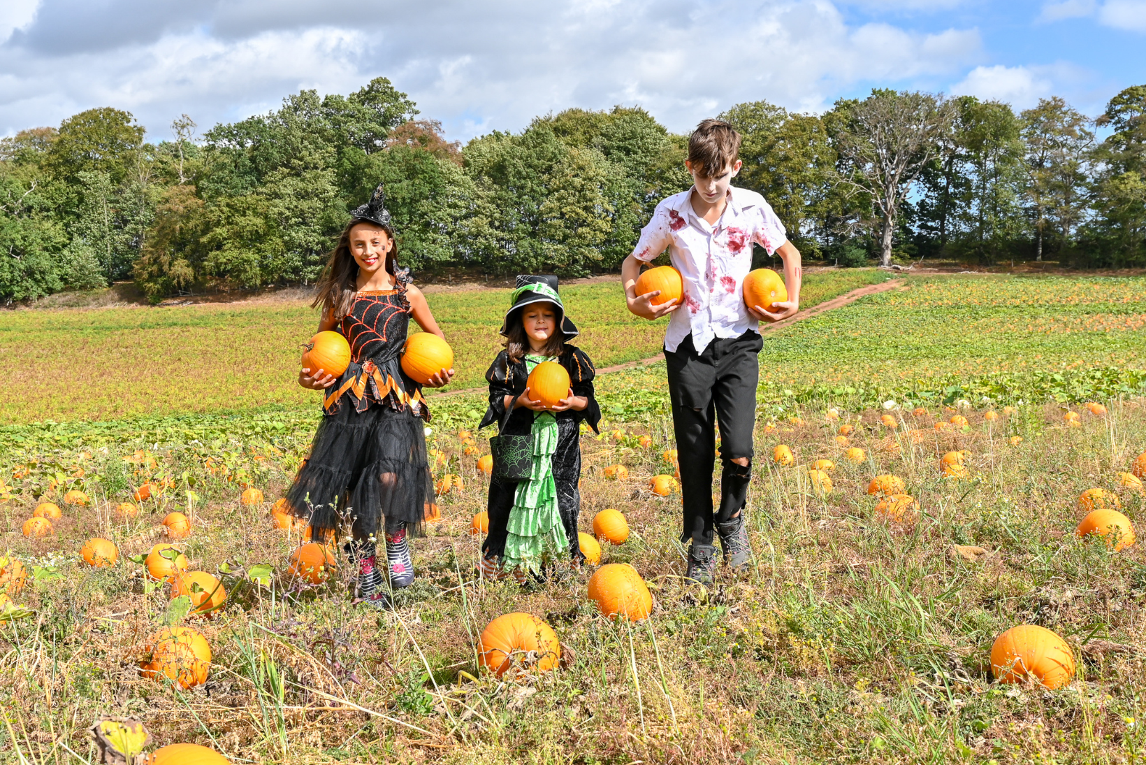 Halloween Adventure (2)