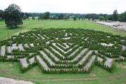 Maze 2007
