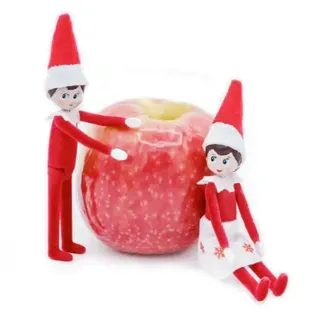World S Smallest R The Elf On The Shelf R The Elf On The Shelf 5 32047298445443 600X