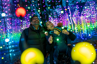 Winter Illuminations At Stockeld Park