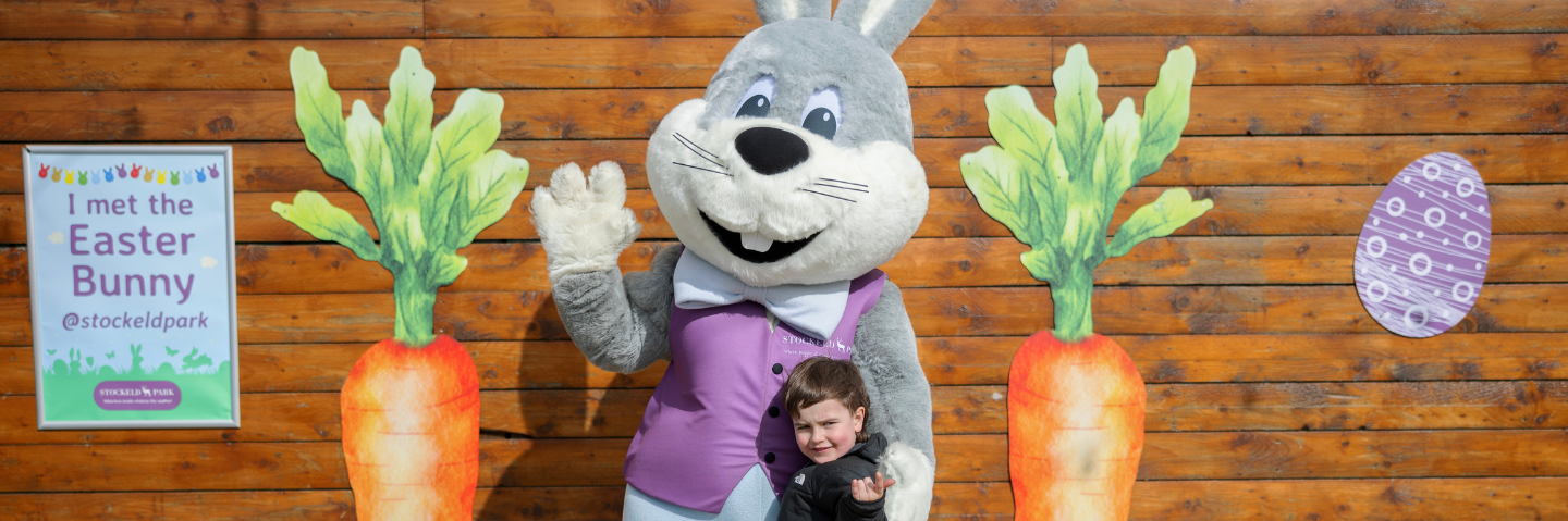 Stockeld Blog Header [NEW SIZE 20245] (1)