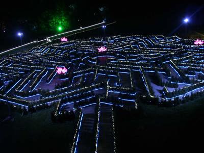 view of the maze with fairy lights down each path