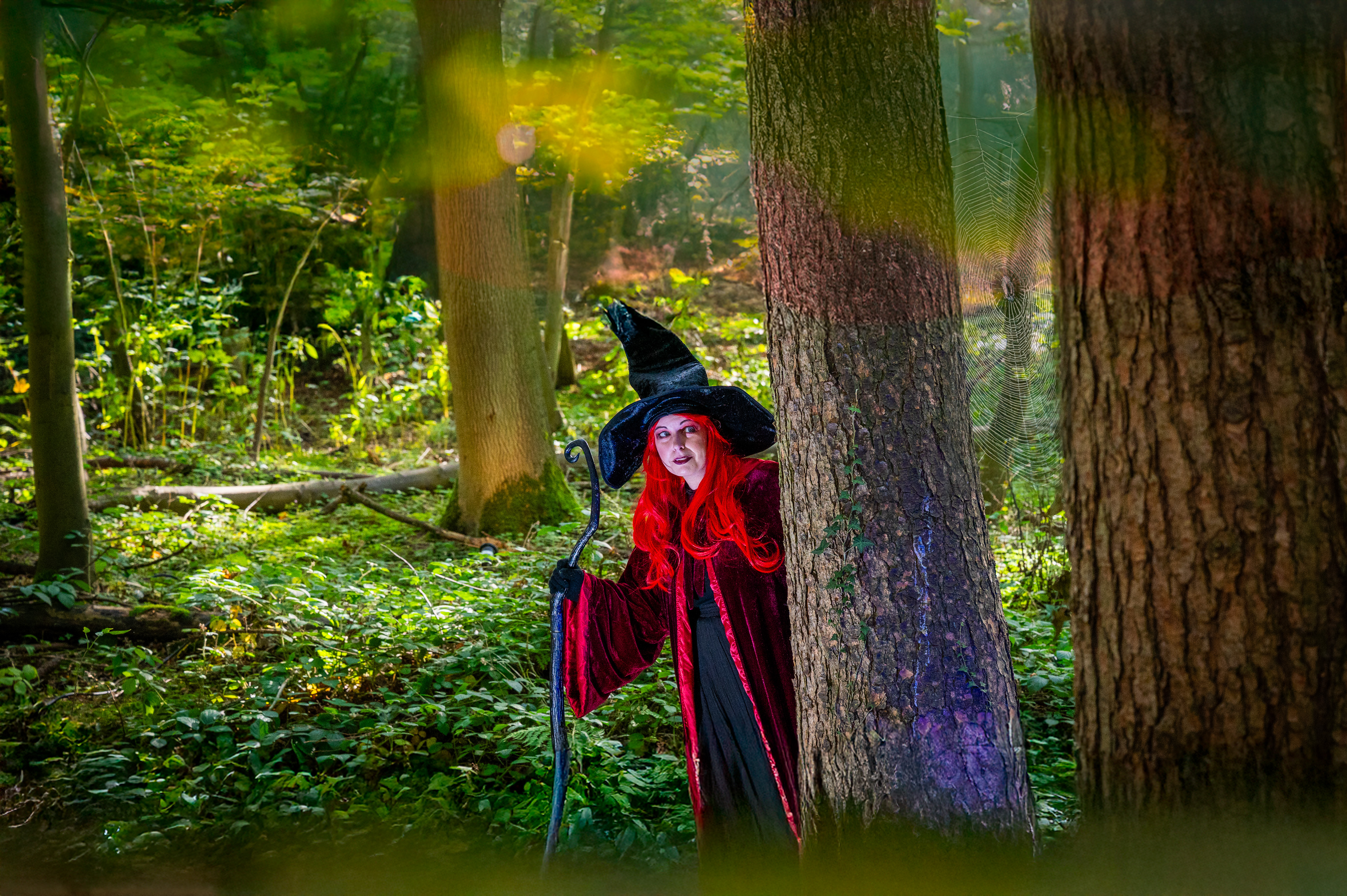 DC Halloween 2025 Witch Peering Around Tree Edit