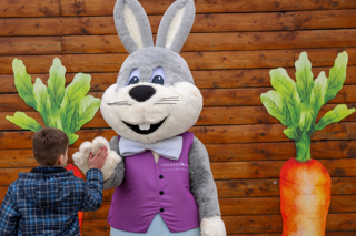 Feb Blog 2 Easter Bunny