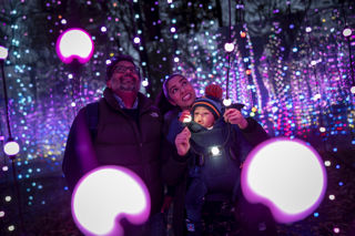 family amongst pink and blue christmas lights