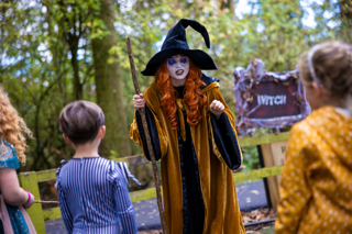 Woodland Witches Trail