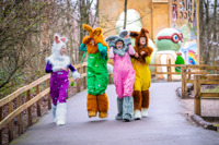 DC Four Easter Rabbit Characters In Dungarees Walking Through Forest