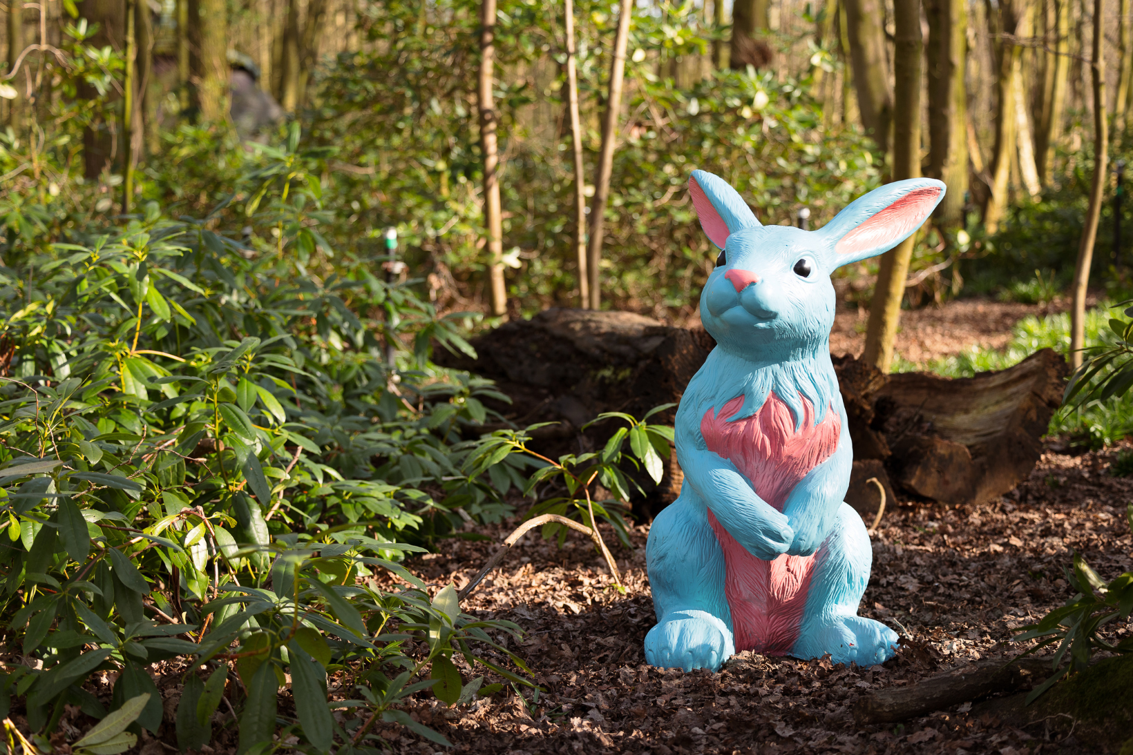 Feb Blog 2 Thumbnail