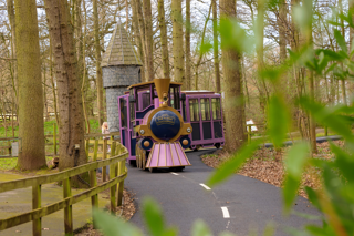 Feb Blog 1 Pic 2 (1)