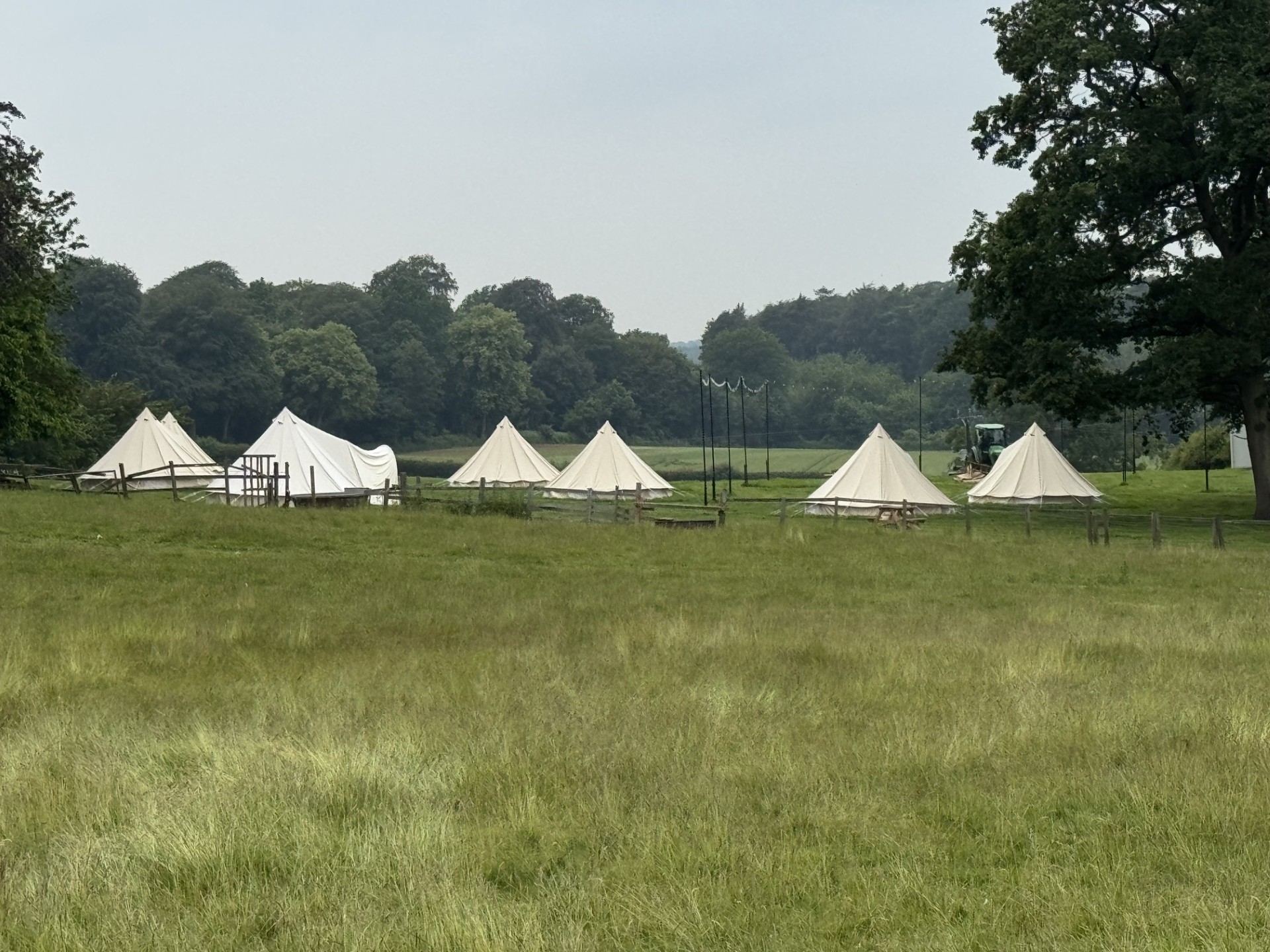 a field containing several white tents looking out over a view with trees