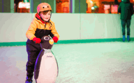 A boy learning to ice skate with a penguin aid