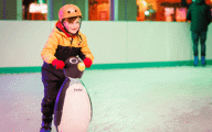 A boy learning to ice skate with a penguin aid