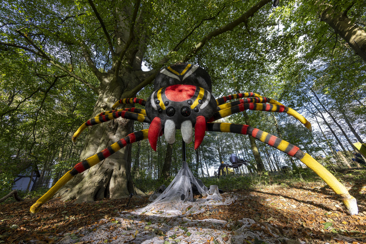 spindra the spider outside spiders lair