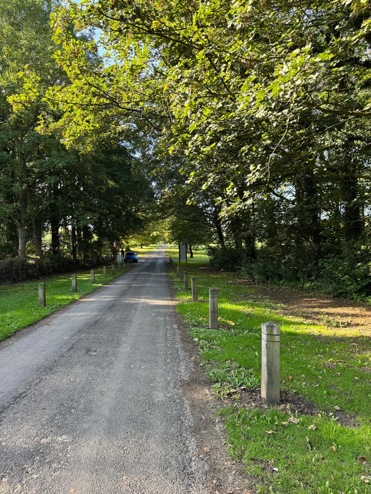 Stockeld Estate driveway, looking up to tree lined drive and fields.