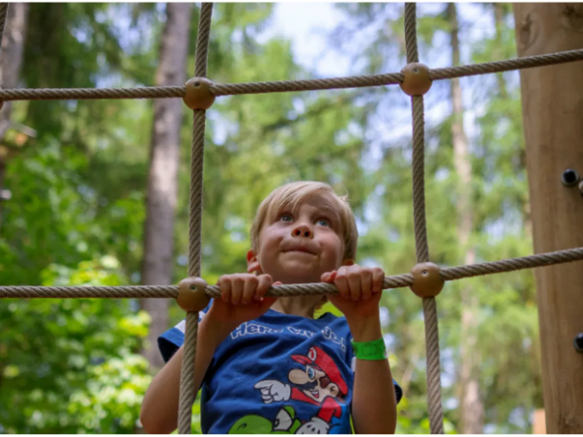 Tangler Tree Tangle Tree Climb