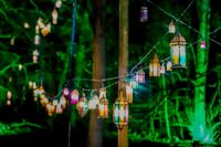lantern illuminations in the Enchanted Forest