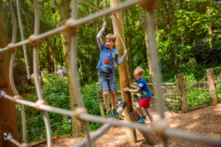 Enchanted Forest Tangle Tree Climb Playground