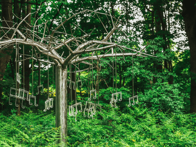 Musical tree in the enchanted forest