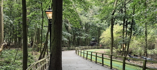 Forest Path Landscape 1920X864