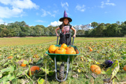 girl in black and pink witch costume in a pumpkin patch with wheelbarrow filled with orange pumpkins