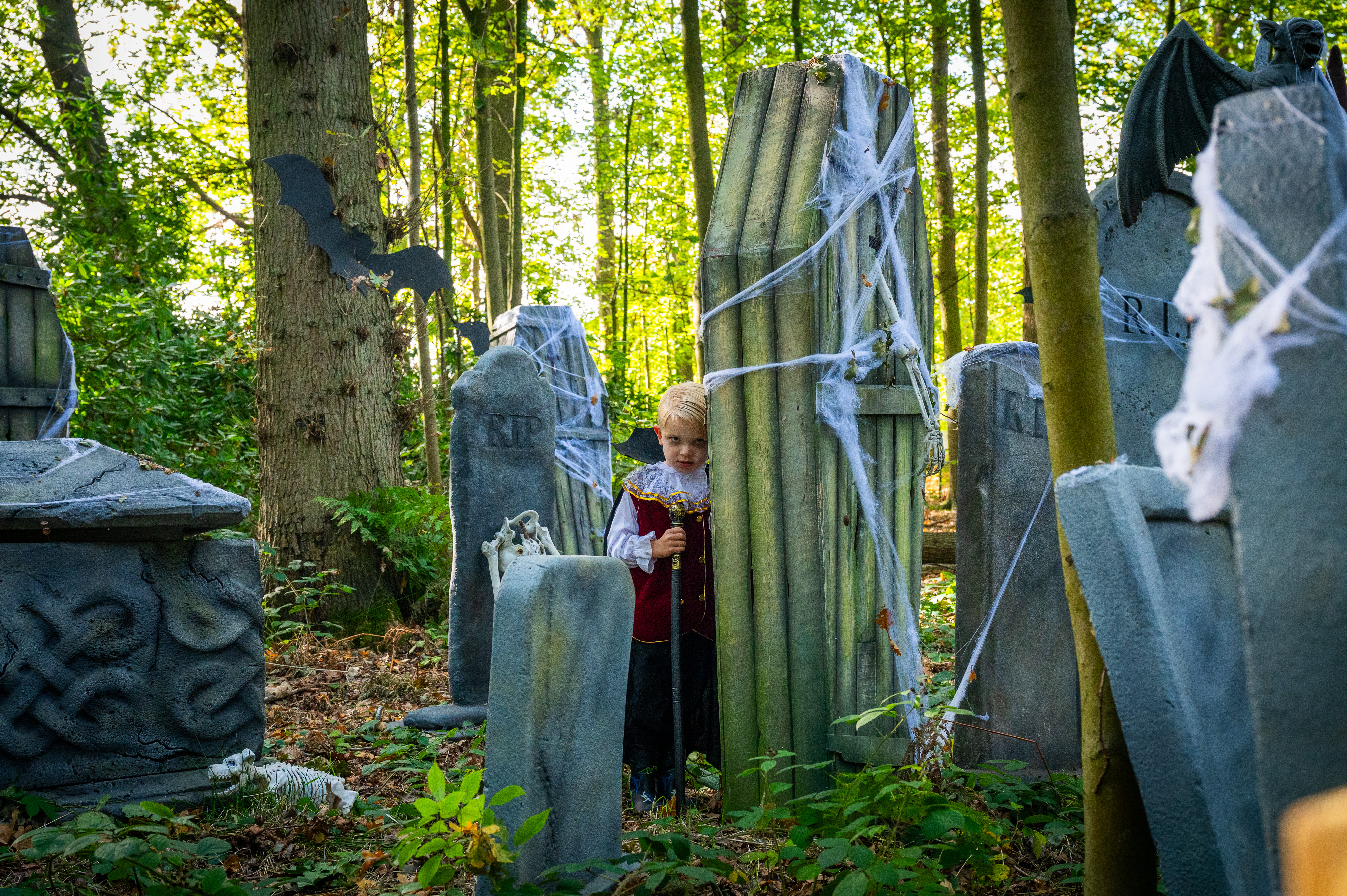 Dc Halloween 2025 Boy In Graveyard 3