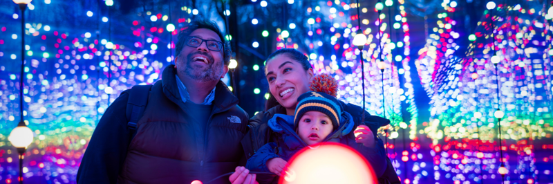What To Do In The Lead Up To Christmas