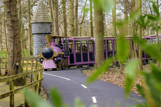 The flying stocksman going past rapunzel in her tower