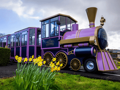 Train driving past daffodils