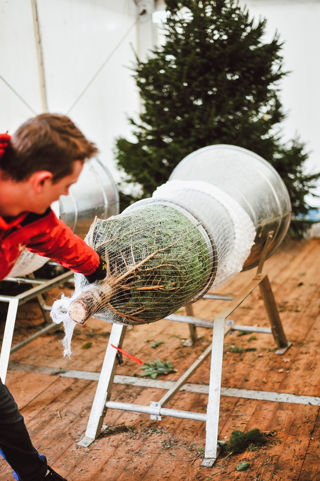 Christmas Tree Netting