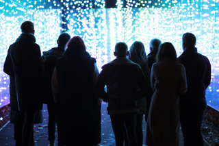 Enchanted Forest Winter Light Show Illuminations