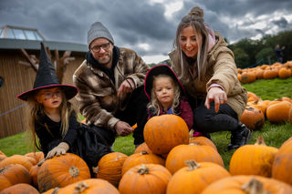 Family of four picking their pumpkins