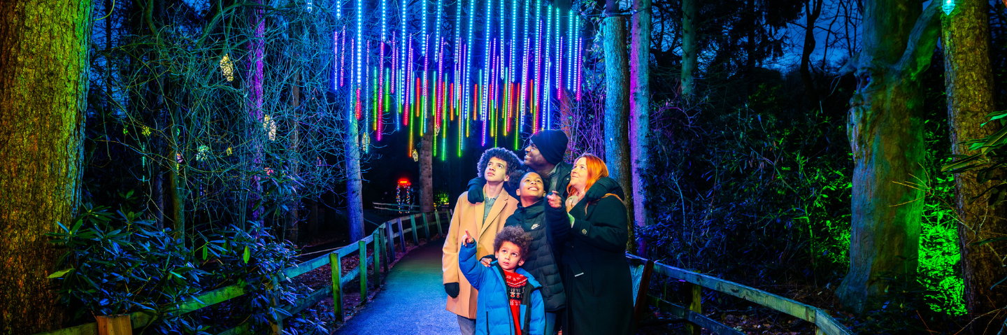  A family of two adults and three children stand on a woodland path at night, looking up at vibrant winter illuminations at Stockeld Park. 