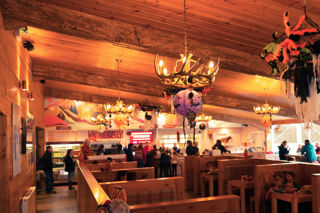 Woodland Cafe  at Halloween