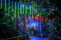 an array of colourful light droplets hanging amongst the trees 