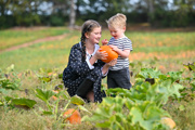 girl and boy in addams family halloween costumes holding a pumpkin in a pumpkin patch