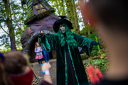 Witch in the enchanted forest at the witches hat