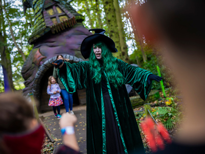 Witch in the enchanted forest at the witches hat