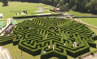 View of the maze from above