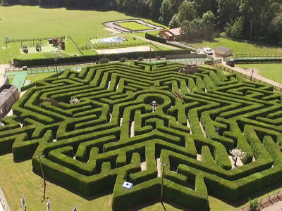 View of the maze from above