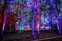 Letters to Santa illuminated projection show in the Enchnted Forest
